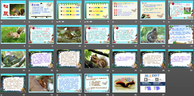 《松鼠》PPT课件7