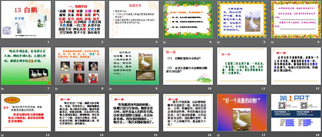 《白鹅》PPT课件9