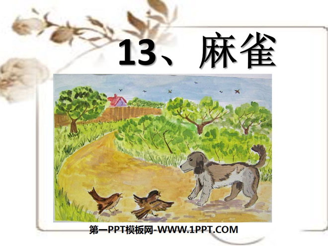 《麻雀》PPT课件4