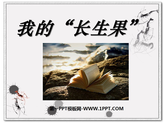 《我的“长生果”》PPT课件7