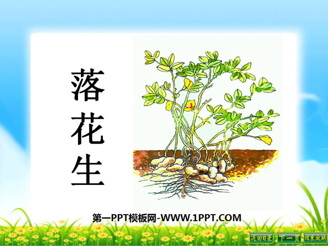 《落花生》PPT课件10