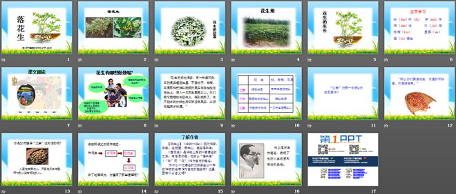 《落花生》PPT课件10