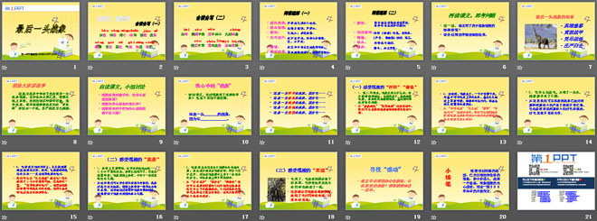 《最后一头战象》PPT课件5