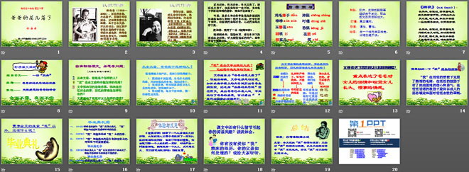 《爸爸的花儿落了》PPT课件7