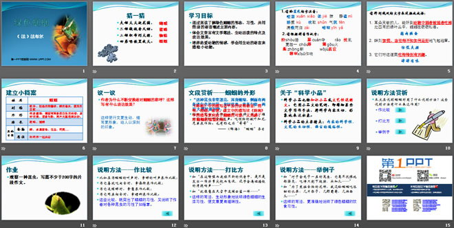《绿色蝈蝈》PPT课件6