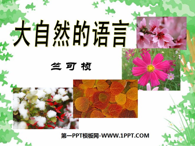 《大自然的语言》PPT课件7