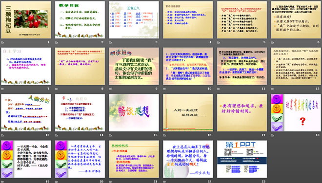 《三颗枸杞豆》PPT课件6