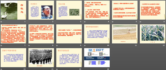 《白色鸟》PPT课件