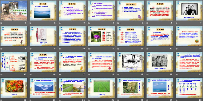 《我用残损的手掌》PPT课件4