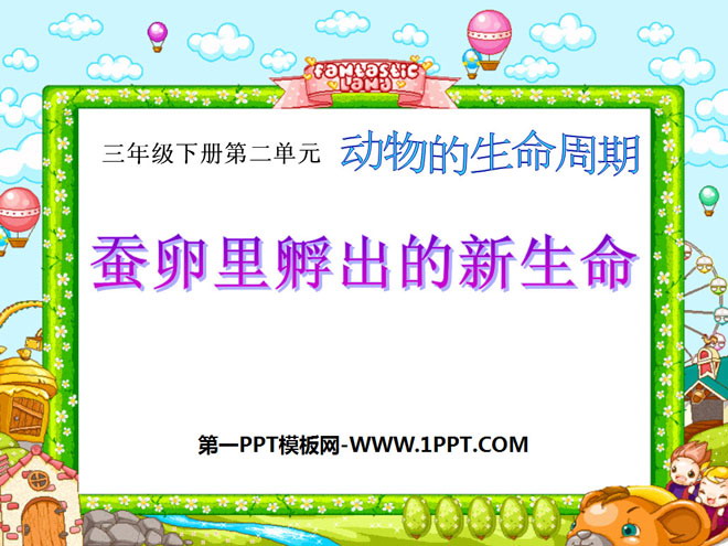 《蚕卵里孵出的新生命》动物的生命周期PPT课件