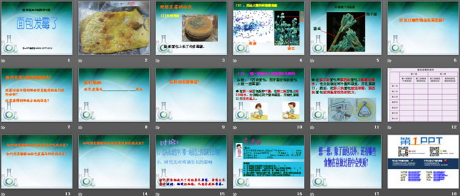 《面包发霉了》食物PPT课件