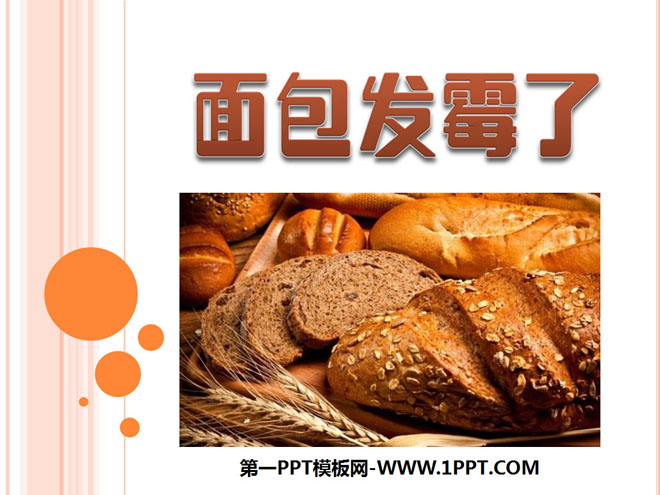 《面包发霉了》食物PPT课件4