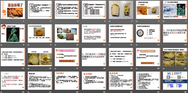 《面包发霉了》食物PPT课件4