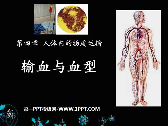 《输血与血型》人体内物质的运输PPT课件5