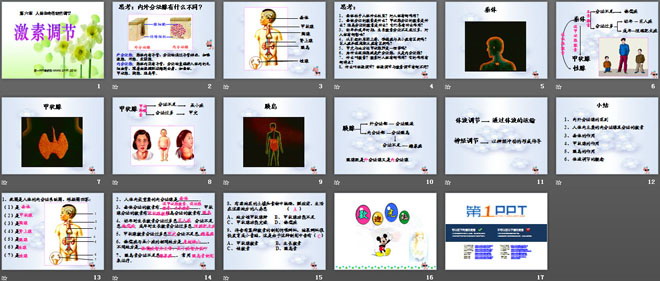 《激素调节》人体生命活动的调节PPT课件