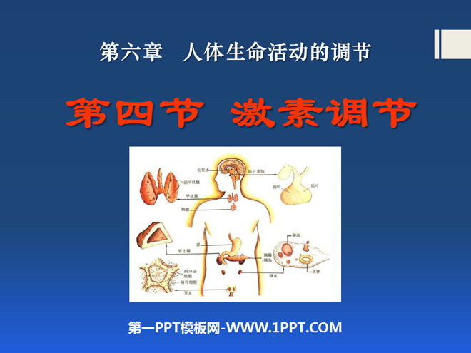 《激素调节》人体生命活动的调节PPT课件2
