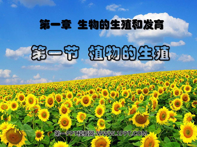 《植物的生殖》生物的生殖和发育PPT课件3