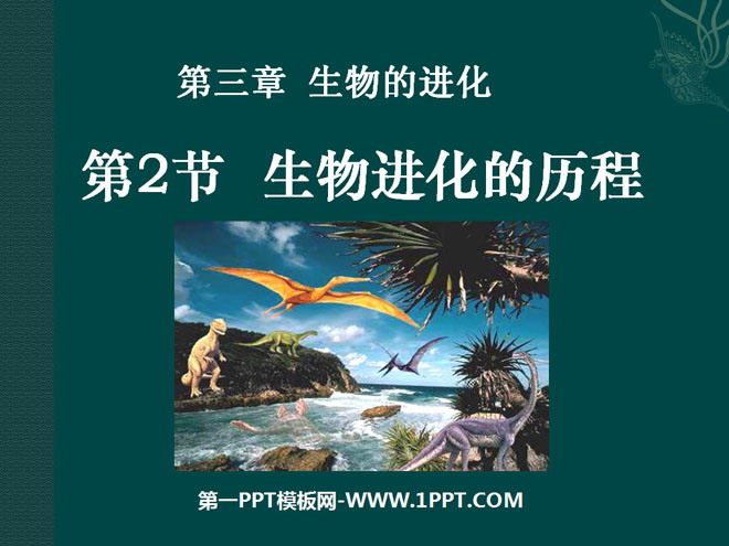 《生物进化的历程》生物的进化PPT课件4