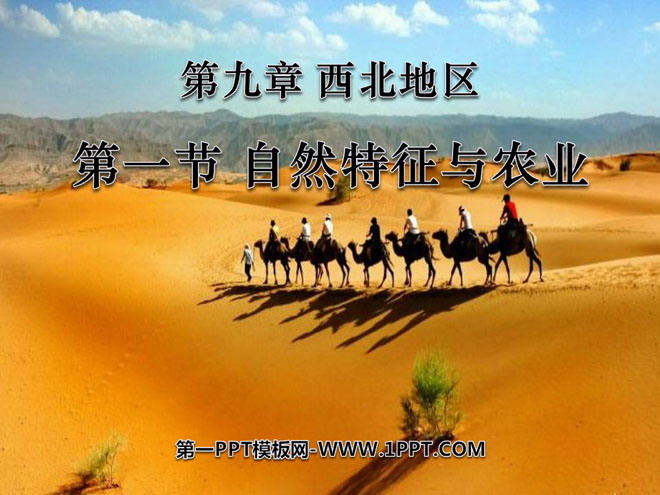 《自然特征与农业》西北地区PPT课件5