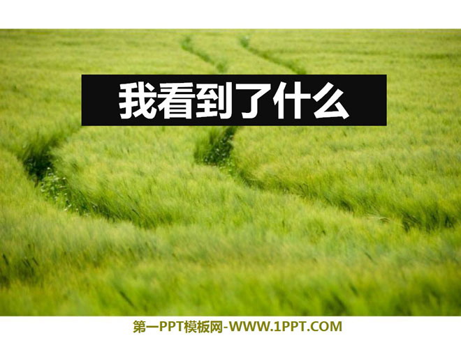 《我看到了什么》植物PPT课件