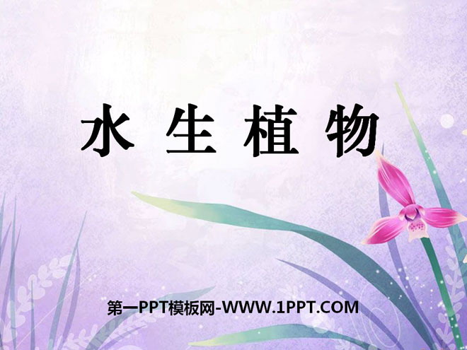 《水生植物》植物PPT课件