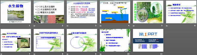 《水生植物》植物PPT课件3