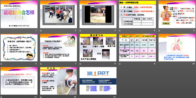 《运动起来会怎样(一)》我们的身体PPT课件