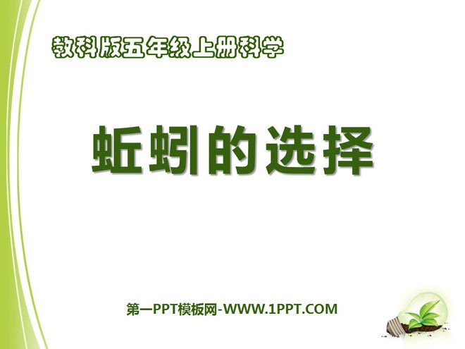 《蚯蚓的选择》生物与环境PPT课件4