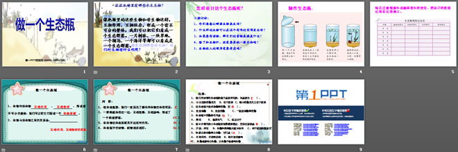 《做一个生态瓶》生物与环境PPT课件2