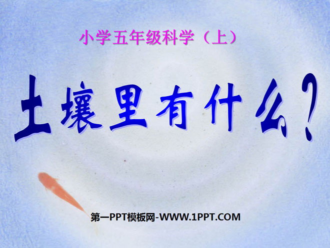 《土壤中有什么》地球表面及其变化PPT课件4