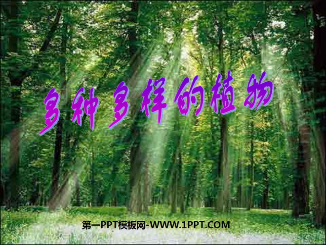 《多种多样的植物》生物的多样性PPT课件3