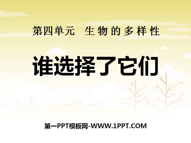 《谁选择了它们》生物的多样性PPT课件2