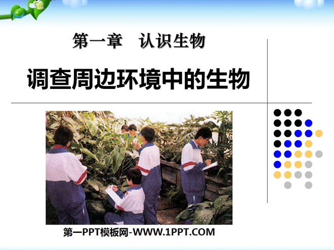 《调查周边环境中的生物》认识生物PPT课件6