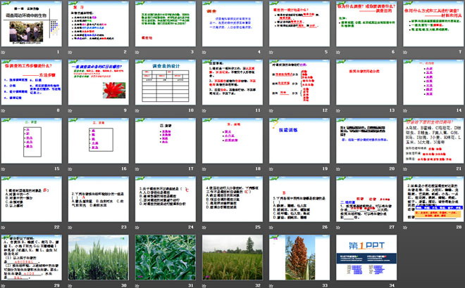 《调查周边环境中的生物》认识生物PPT课件6