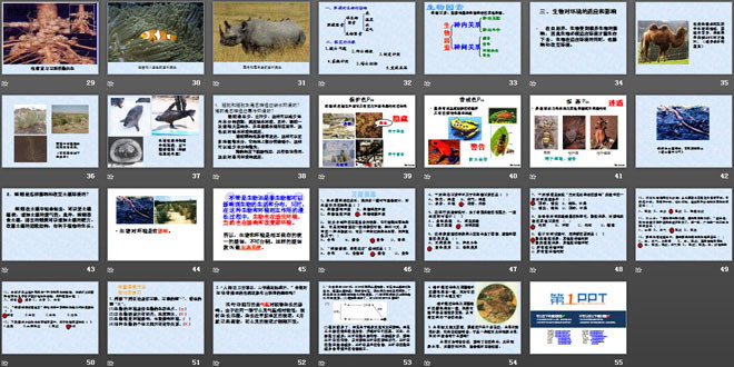 《生物与环境的关系》了解生物圈PPT课件3