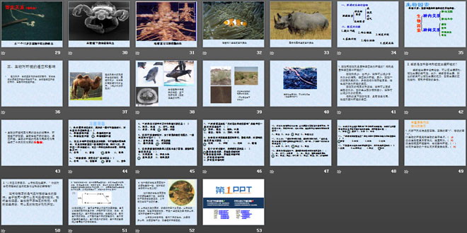 《生物与环境的关系》了解生物圈PPT课件6
