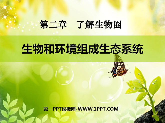 《生物与环境组成生态系统》了解生物圈PPT课件7