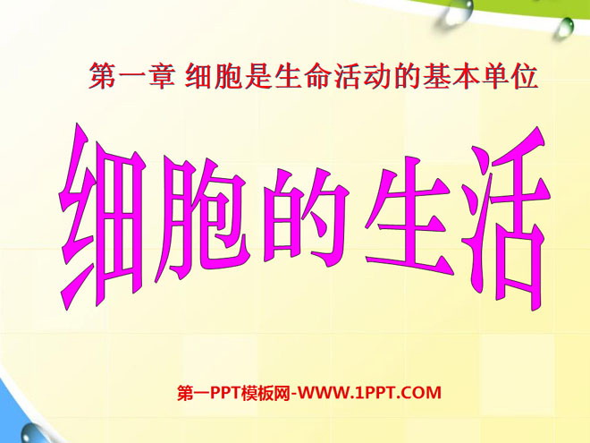 《细胞的生活》细胞是生命活动的基本单位PPT课件5