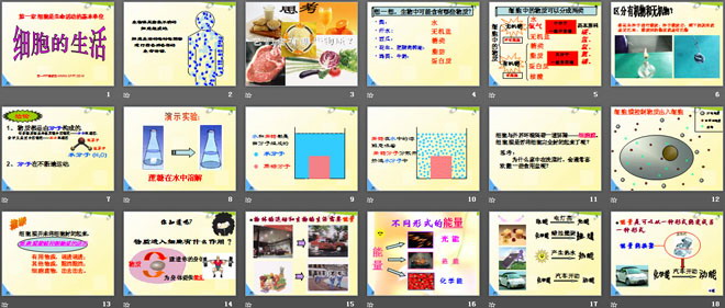 《细胞的生活》细胞是生命活动的基本单位PPT课件5