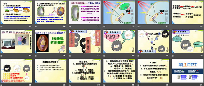 《细胞的生活》细胞是生命活动的基本单位PPT课件5