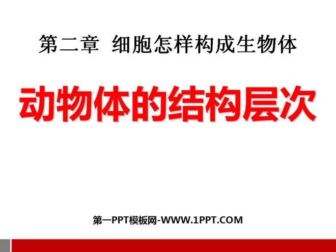 《动物体的结构层次》细胞怎样构成生物体PPT课件5