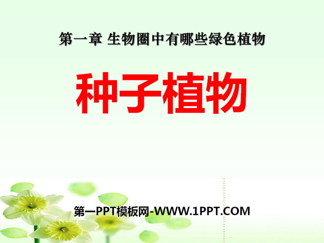 《种子植物》生物圈中有哪些绿色植物PPT课件3