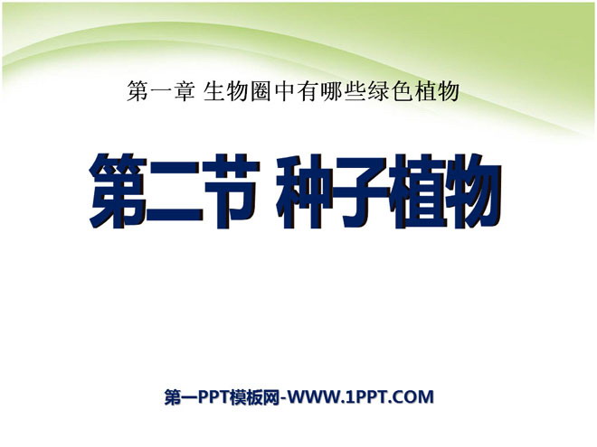 《种子植物》生物圈中有哪些绿色植物PPT课件5