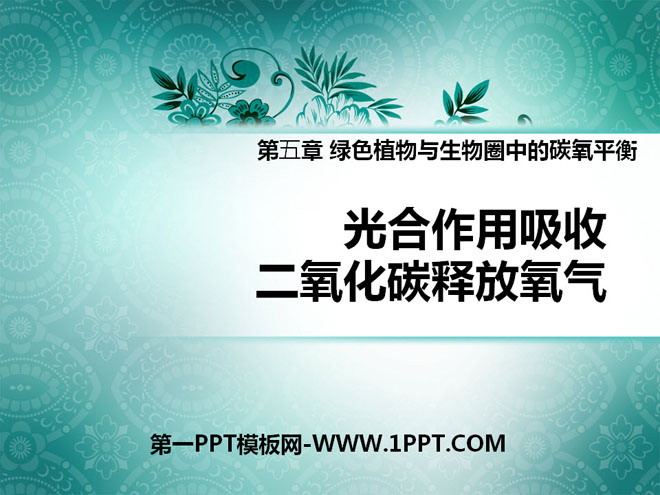 《光合作用吸收二氧化碳释放氧气》绿色植物与生物圈中碳-氧平衡PPT课件7