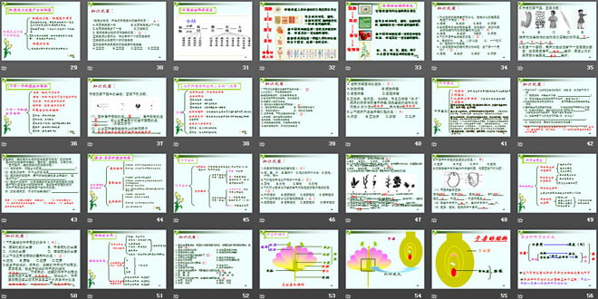 《七年级生物上册总复习》PPT课件