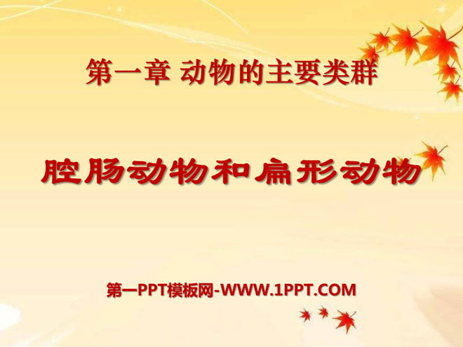 《腔肠动物和扁形动物》动物的主要类群PPT课件4