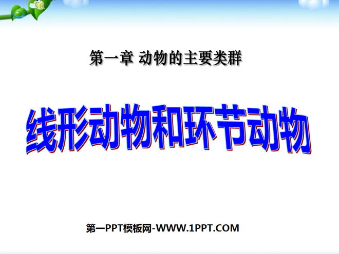 《线形动物和环节动物》动物的主要类群PPT课件7