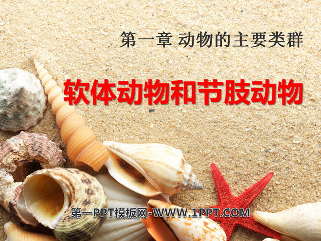 《软体动物和节肢动物》动物的主要类群PPT课件2