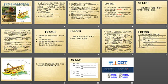 《软体动物和节肢动物》动物的主要类群PPT课件4