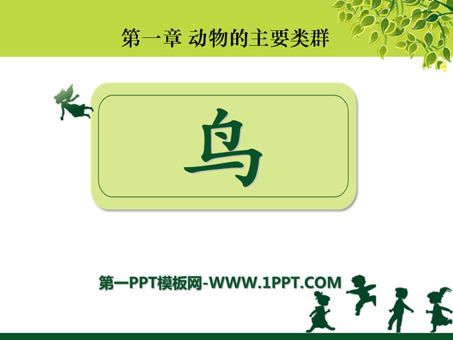 《鸟》动物的主要类群PPT课件